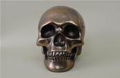 Crâne humain bronze  