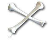 TIBIA